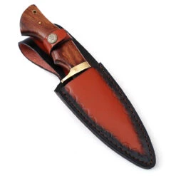 Bear Claw Fixed Blade Outdoor Hunting Knife 9 Bear Claw Fixed Blade Outdoor Hunting Knife -Daggers Store HKP2368 71089.1620076716