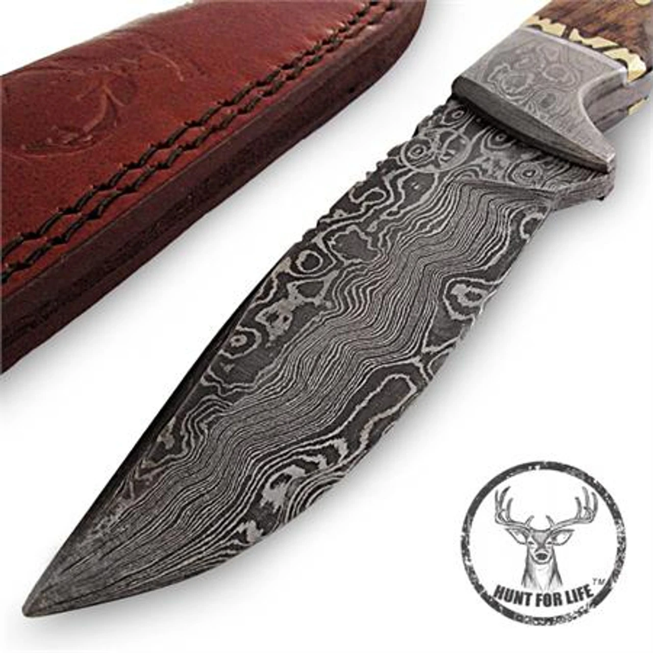 Hunt For Life East Pacific Rise Full Tang Outdoor Knife 3 Hunt For Life East Pacific Rise Full Tang Outdoor Knife - Image 3